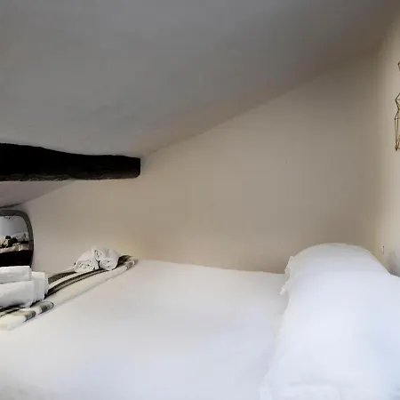 Ur Nest Testoni Bolonia